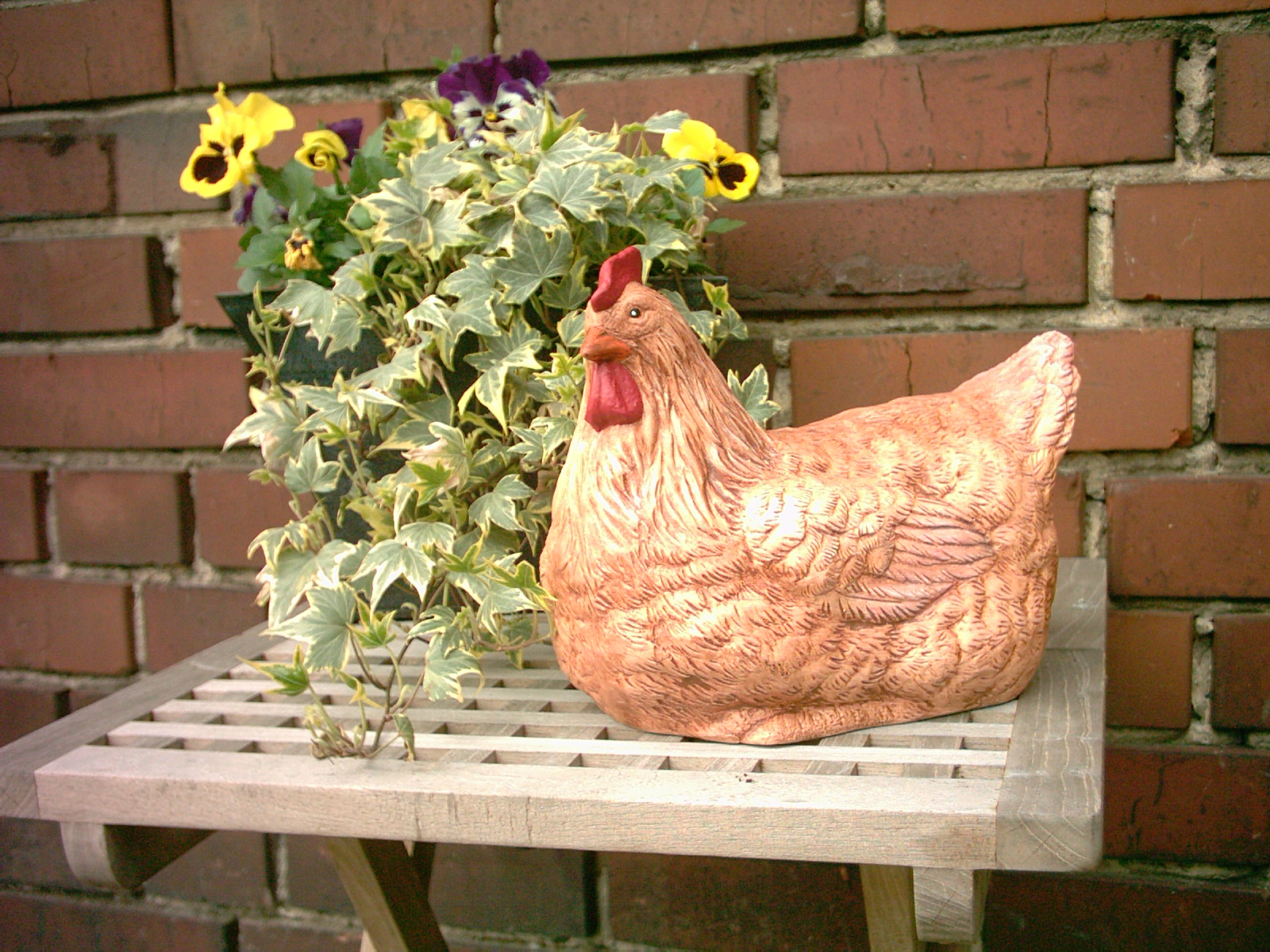 Huhn 013.jpg